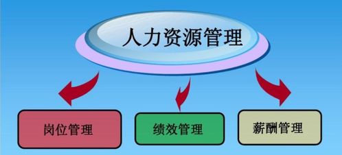 企业如何选择薪酬绩效企业管理咨询公司,一般是怎么收费的